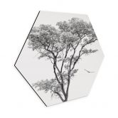 Hexagon Wandbild Minimalistischer Baum in ruhiger Landschaft - Flour - Alu-Dibond 