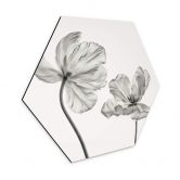 Hexagon - Alu-Dibond Grønkjær - Tulpenblüte 