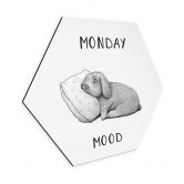 Hexagon Wandbild Monday mood - Hase am Montagmorgen - Alu-Dibond 
