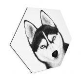 Hexagon Wandbild Sibirischer Husky - Hundeporträt - Korenkova - Alu-Dibond 