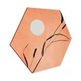 Hexagon Wandbild Schilf im pfirsichfarbenen Sonnenschein - Kubistika - Alu-Dibond 