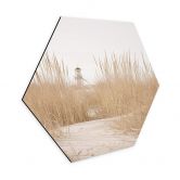 Hexagon Wandbild - Leuchtturm im Dünengras - Alu-Dibond 