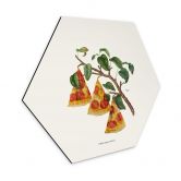 Hexagon - Alu-Dibond Loose - Pizza Pflanze 