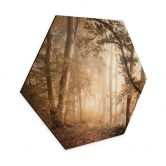 Hexagon Wandbild Wald im morgendlichen Nebel - Maier - Alu-Dibond 
