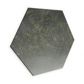 Hexagon Wandbild Farn im Nebelwald in Grün - Ms Tiff - Alu-Dibond 