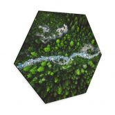 Hexagon - Alu-Dibond Murko - Mutter Natur 