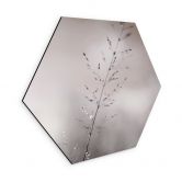 Hexagon Wandbild Grashalm mit Tautropfen - Sillen - Alu-Dibond 