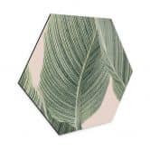 Hexagon Dibond Calathea-plante - Sisi & Seb 