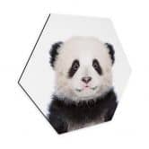 Hexagon - Alu-Dibond - Sisi & Seb - Baby Panda 