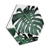 Hexagon - Alu-Dibond Sisi & Seb - Monstera 