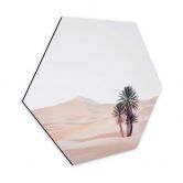 Hexagon - Alu-Dibond Sisi & Seb - Traumhafte Wüste 