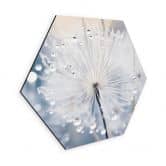 Hexagon Wandbild Funkelnde Pusteblumen - Treechild - Alu-Dibond  