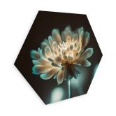 Hexagon Wandbild Leuchtendes Blütenherz - Treechild - Alu-Dibond 
