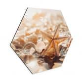 Hexagon Wandbild Muscheln am sonnigen Strand - Treechild - Alu-Dibond 