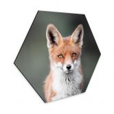 Hexagon - Alu-Dibond van Duijn - Fuchsaugen 