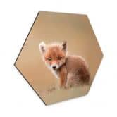 Hexagon - Alu-Dibond van Duijn - Baby Fuchs 