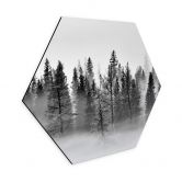Hexagon Wandbild Nebelwald in Schwarz-Weiß - Alu-Dibond - Xu 
