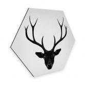 Hexagon - Alu-Dibond Ireland - The Black Deer 