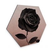 Hexagon - Alu-Dibond-Kupfereffekt Ireland - Fabric Rose 