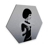 Hexagon - Alu-Dibond-Silbereffekt Ireland - Only Skin 