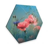 Hexagon - Alu-Dibond Delgado - Wildblumen Aquamarin 