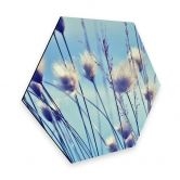 Hexagon - Alu-Dibond Delgado - Wind im Gras 