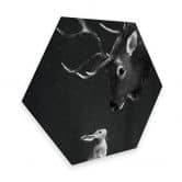 Hexagon - Alu-Dibond Graves - Deer and Rabbit 