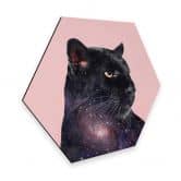 Hexagon - Alu-Dibond Loose – Galaxy Panther 