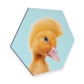 Hexagon - Alu-Dibond Loose - Rebel Duckling 