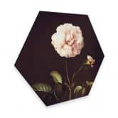 Hexagon - Alu-Dibond Dietzsch - Essigrose mit Hummel 