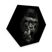 Hexagon - Alu-Dibond Meermann - Der Gorilla 
