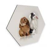 Hexagon - Alu-Dibond Braun - Bunny Love 