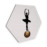 Hexagon - Alu-Dibond Kubistika - Prima Ballerina 