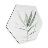Hexagon - Alu-Dibond Sisi & Seb - Oleander 
