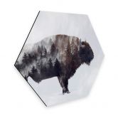 Hexagon - Alu-Dibond - Beáta - Der Bison 