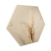 Hexagon - Holz 1X Studio - Gebundenes Pampasgras 