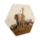 Hexagon Hout Afrikaanse Dieren 