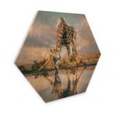 Hexagon Holzbild Reflexion einer Giraffe in der Wildnis - Amtmann 