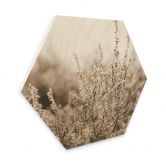 Hexagon - Holz Annie - Gräser 