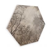 Hexagon - Holz Baumkronen im Himmel 