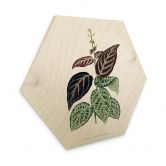 Holzbild Blatt Illustration - Bignonia Argyro Violascea 