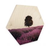 Hexagon Holzbild Lila Lavendelfelder bei Sonnenuntergang - Cevik 