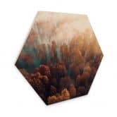 Hexagon Holzbild Herbstwald im Nebel - Ioricon 
