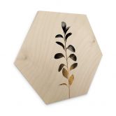 Hexagon - Holz Kubistika - Monochromatica 