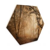 Hexagone - Bois Forêt dans la brume du matin - Maier 