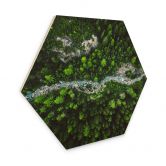 Hexagon - Holz Murko - Mutter Natur 