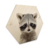 Hexagon - Holz Birke-Furnier Sisi & Seb - Baby Waschbär 