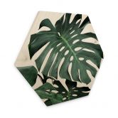 Hexagon - Holz Sisi & Seb - Monstera 