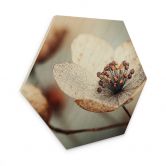 Hexagon Holzbild Boho Trockenblume Makro - Treechild 