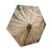 Hexagon Holzbild Pusteblume in Morgentau - Treechild 